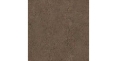 Граніт дрібний коричневий (Валентино глина) 4100х600х38 мм - Стільниця F148 ST82