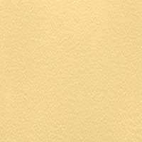 Терра жовта кірка 141 РЕ - 0,45х21