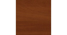 Яблуня Локарно 1972 - 0,45х21